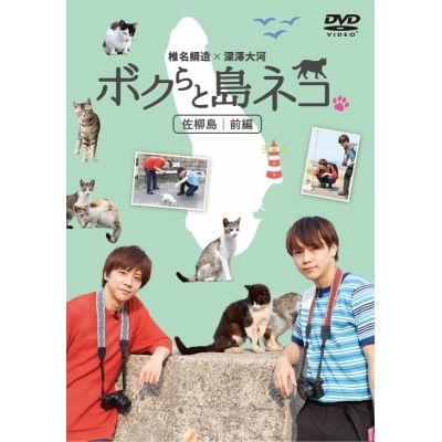 【DVD】TV ボクらと島ネコ。in 佐柳島 前編 椎名鯛造×深澤大河