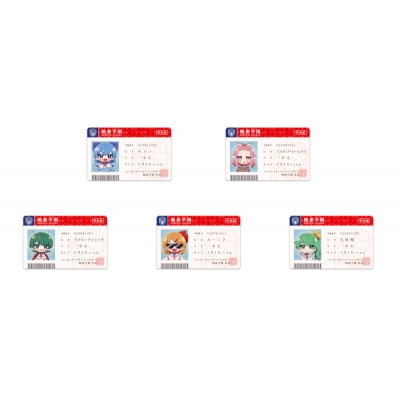 【グッズ(音楽)】COOL&CREATE カード 【学園えーりん】アルティメットチルノ団