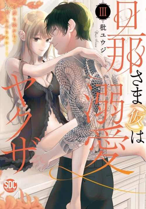 コミック 旦那さま 仮 は溺愛ヤクザ 3 何度も突かれて 声止まらない アニメイト