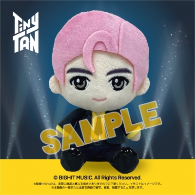【グッズ-ぬいぐるみ】TinyTAN ぷりぬい RM