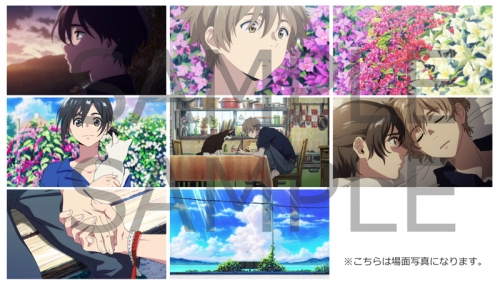 Blu Ray 劇場版 海辺のエトランゼ 豪華版 数量限定生産 アニメイト