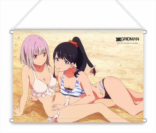 グッズ-タペストリー】SSSS.GRIDMAN B2タペストリー 六花&アカネ(水着 