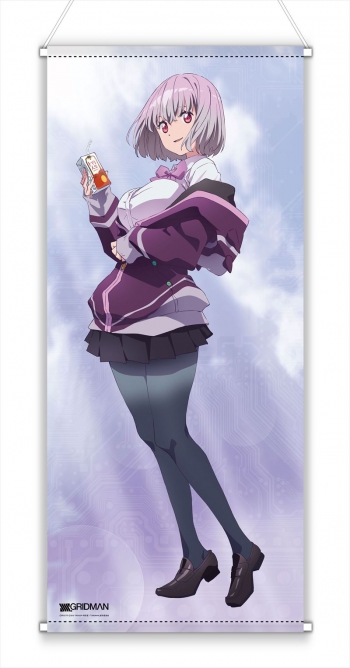 グッズ-タペストリー】SSSS.GRIDMAN 描き下ろしほぼ等身大タペストリー 