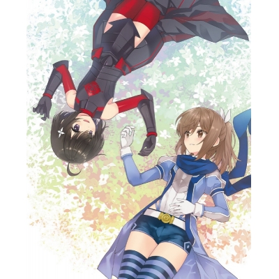【Blu-ray】TV 痛いのは嫌なので防御力に極振りしたいと思います。 Blu-ray BOX