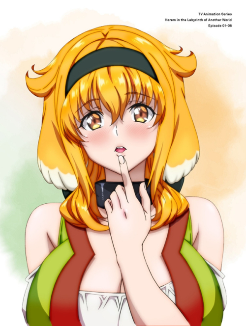 DVD】TV 異世界迷宮でハーレムを DVD BOX 上巻 通常版 | アニメイト 