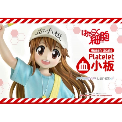 【美少女フィギュア】ライフスケールマスターライン はたらく細胞 血小板【送料無料】