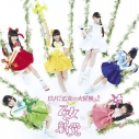 【主題歌】TV 愛・天地無用! ED「ビバ!乙女の大冒険っ!!」/乙女新党 初回限定盤Bの画像