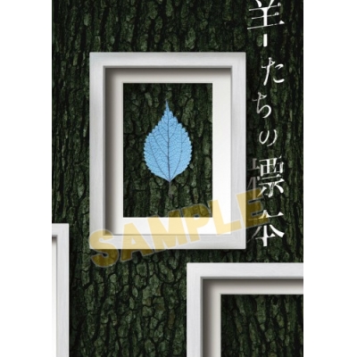 【グッズ-パンフレット】朗読劇『羊たちの標本/再演』パンフレット