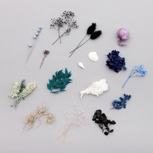 グッズ-その他】オクタヴィネル寮／フラワードーム（ディズニー  