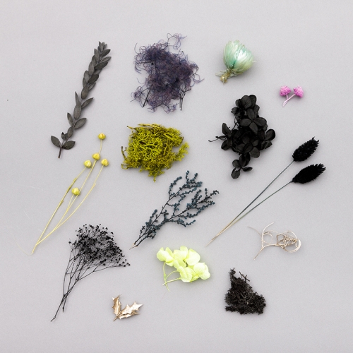 グッズ-その他】ディアソムニア寮／フラワードーム（ディズニー  