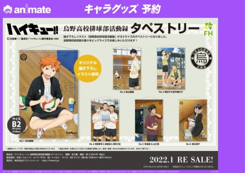 グッズ-タペストリー】ハイキュー!! 烏野高校排球部活動録 