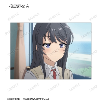 【グッズ-ブロマイド】青春ブタ野郎はバニーガール先輩の夢を見ない トレーディング場面写ブロマイド【再販】