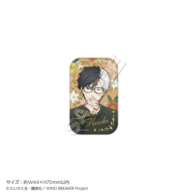 【グッズ-バッチ】「WIND BREAKER」 トレーディングスクエア缶バッジ Glasses【再販】