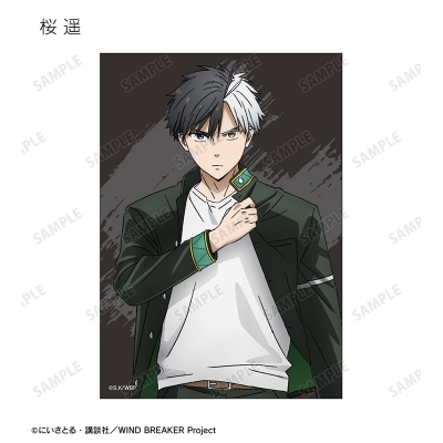 【グッズ-ブロマイド】TVアニメ『WIND BREAKER』 トレーディングブロマイド【再販】