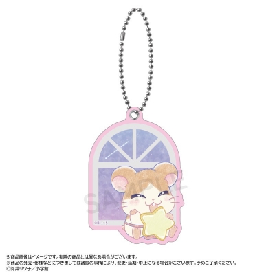 【グッズ-ミラー】『とっとこハム太郎』 ~Twinkle Dreams~スライドミラー G.まいどくん【再販】