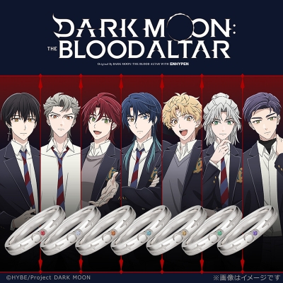 【グッズ-指輪】DARK MOON: THE BLOOD ALTAR リング シルバー ソロン 11号