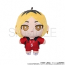 【グッズ-マスコット】ハイキュー!! ぬいパル(ぬいぐるみ)/孤爪研磨【再販】の画像