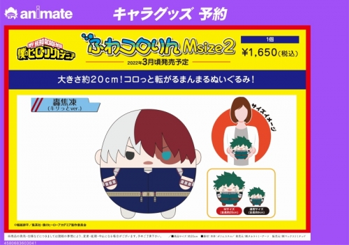 グッズ ぬいぐるみ 僕のヒーローアカデミア ふわコロりんmsize2 H轟焦凍 キリっとver アニメイト