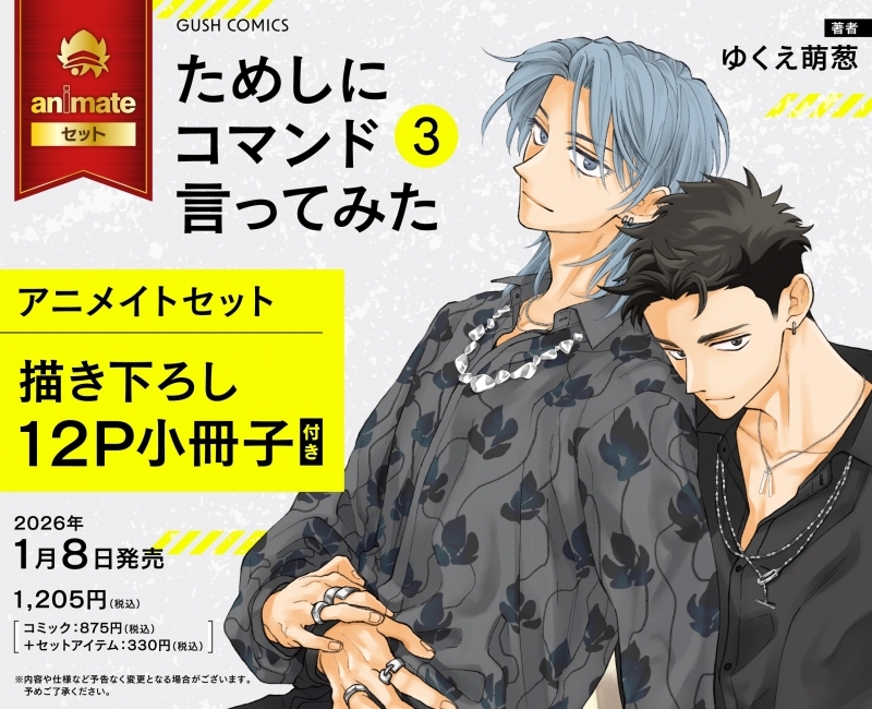 【コミック】ためしにコマンド言ってみた(3) アニメイトセット【描き下ろし12P小冊子付き】
