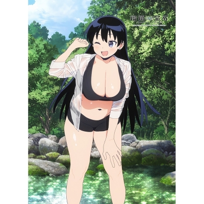 【グッズ-タペストリー】瑠璃の宝石 描き下ろしB2タペストリー(荒砥凪/水遊び)Wスエード【再販】