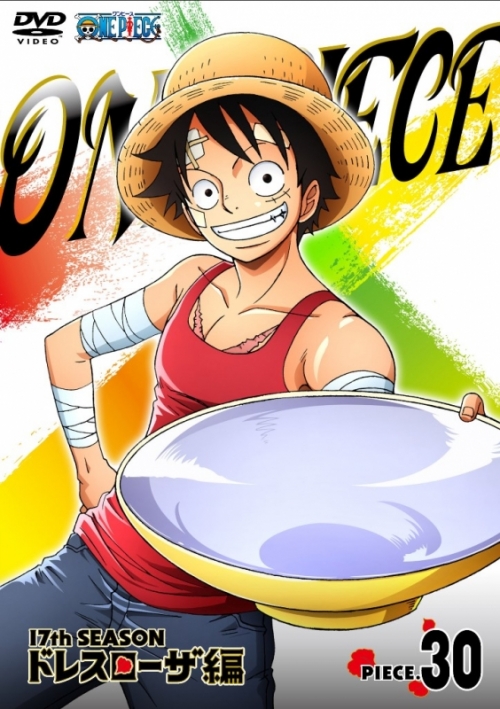 Dvd Tv One Piece ワンピース 17thシーズン ドレスローザ編 Piece 30 アニメイト