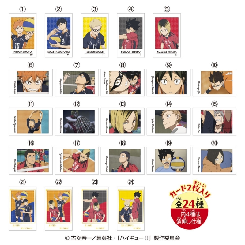 【グッズ-食品】ハイキュー!! キャラポトレ2