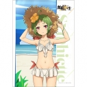 【グッズ-タペストリー】無職転生II ~異世界行ったら本気だす~ 描き下ろしB2タペストリー(シルフィエット/水着)Wスエード【再販】の画像