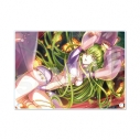 【グッズ-ボード】コードギアス 反逆のルルーシュ ロストストーリーズ アクリルボード /02 C.C.【再販】の画像