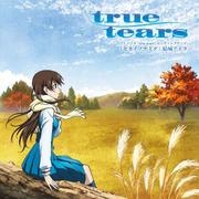【主題歌】TV true tears ED「セカイノナミダ」/結城アイラ