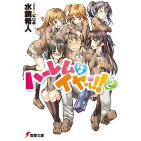 【小説】ハーレムはイヤッ!!(2)