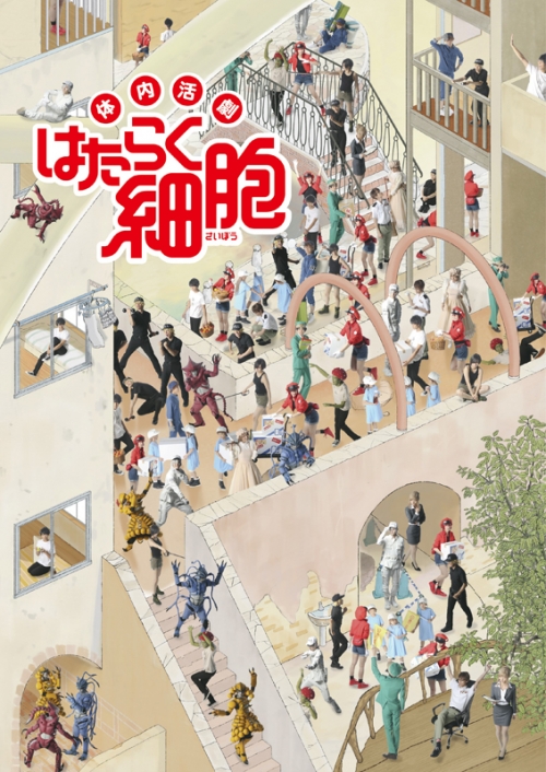 Blu-ray】体内活劇 はたらく細胞 完全生産限定版 | アニメイト