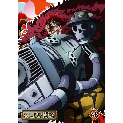 【DVD】TV ONE PIECE ワンピース 20THシーズン ワノ国編 piece.48