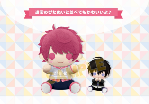 グッズ ぬいぐるみ A3 ぴたぬい ぐらん 皇 天馬 アニメイト