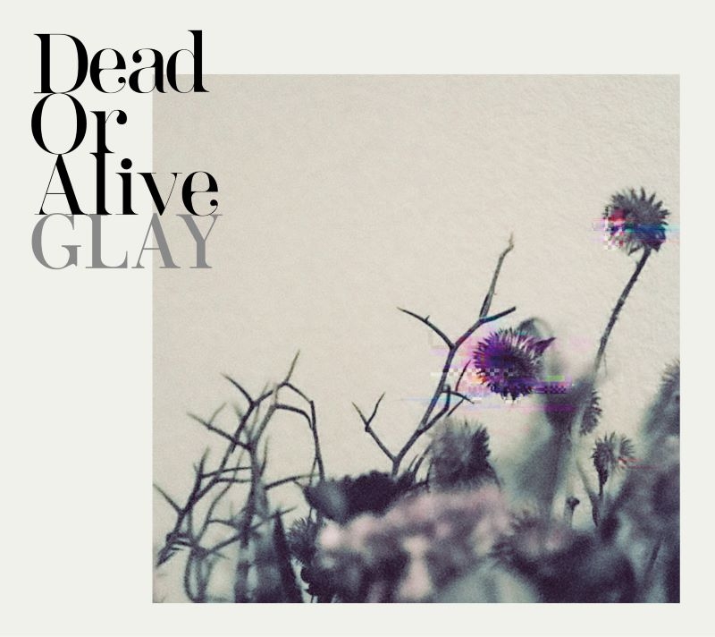 【音楽】GLAY/Dead Or Alive(CD ONLY)