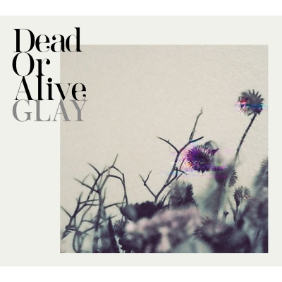 【音楽】GLAY/Dead Or Alive(CD+DVD)