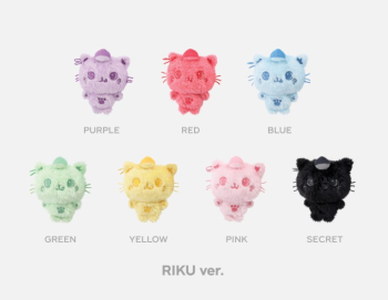 グッズ(音楽)】ぬいぐるみ 2025 NCT WISH POP UP [FIND YOUR COLOR]_ 