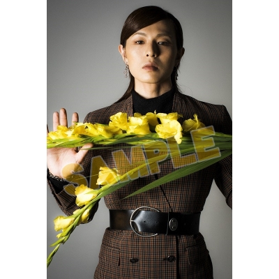 【写真集】荒木宏文フォトブック「History」