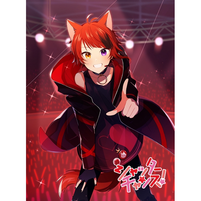 アルバム 莉犬 シャッターチャンス 初回限定dvd盤 アニメイト アルバム 莉犬 シャッターチャンス 初回限定dvd盤 アニメイト