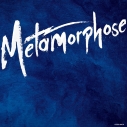 【アルバム】新妹魔王の契約者 Metamorphose 1の画像