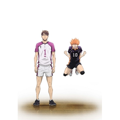 【セール対象】【DVD】劇場版 総集編 白鳥沢学園高校戦 ハイキュー!! コンセプトの戦い