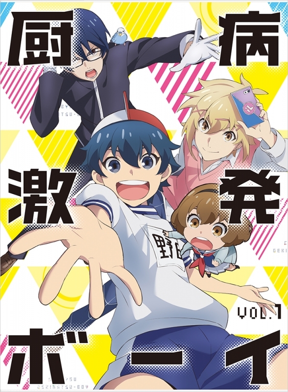 【DVD】TV 厨病激発ボーイ Vol.1