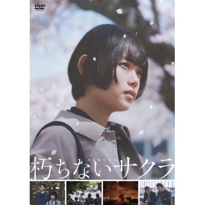 【DVD】映画 朽ちないサクラ DVD