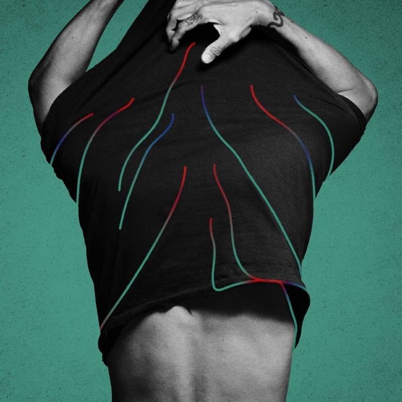 【主題歌】TV 名探偵コナン OP「羽」/稲葉浩志 初回限定盤 DVD付