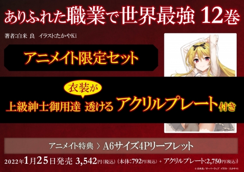書籍 > 小説 > 【小説】ありふれた職業で世界最強(12) アニメイト限定