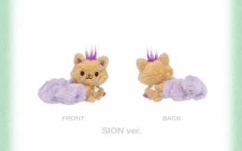 グッズ(音楽)】ペンライトアクセサリー NCT WISH 1st CONCERT TOUR nct wish リク doll ペンライト アクセサリー シュシュ スリーブ