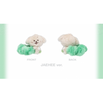 【グッズ(音楽)】ペンライトアクセサリー NCT WISH 1st CONCERT TOUR 'INTO THE WISH : Our WISH'_シュシュ_JAEHEE