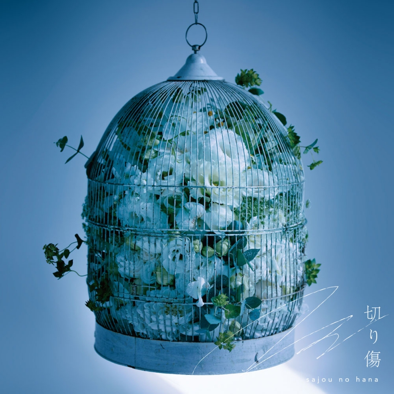 【主題歌】TV ダンジョンに出会いを求めるのは間違っているだろうかIV 深章 厄災篇 ED「切り傷」/sajou no hana