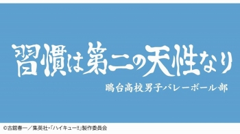 グッズ-タオル】ハイキュー!! 横断幕バスタオル 鴎台高校 | アニメイト