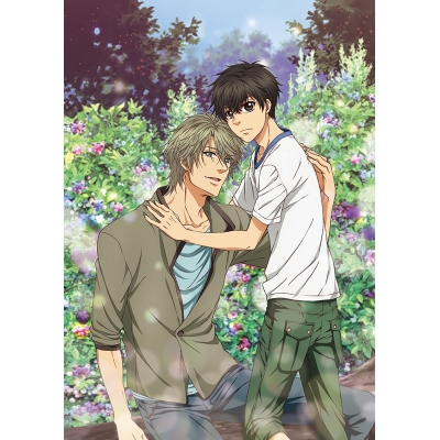 【DVD】TV SUPER LOVERS 2 第3巻 限定版