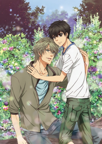 Blu-ray】TV SUPER LOVERS 2 第1巻 限定版 | アニメイト